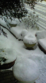 �������I