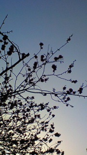 ( u _ u ) �N�D�D�D�Bo��