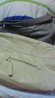 (���L�́M��)