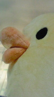 (��^��^)��