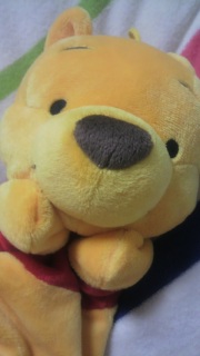 (*^��^)/��*����